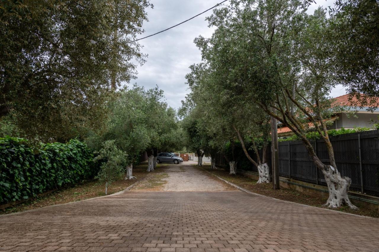 Studio De Bosset Argostoli  Eksteriør billede